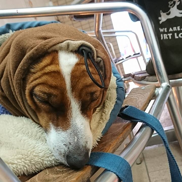 B94d21b5 597b 4f5f 936c f0316ae7209b 1611049761657