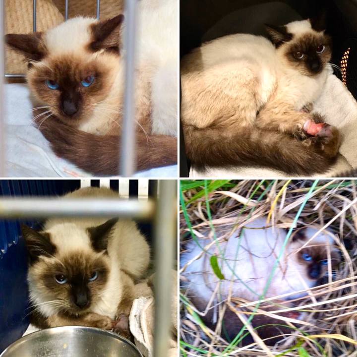 B94d456b 7f04 48a0 a193 7887c4443966 1571277998187