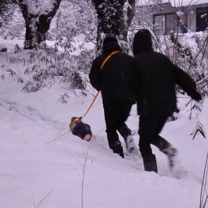 B94d4a7a 8d35 40cd 973a 94f5aa780c97 1641117262153