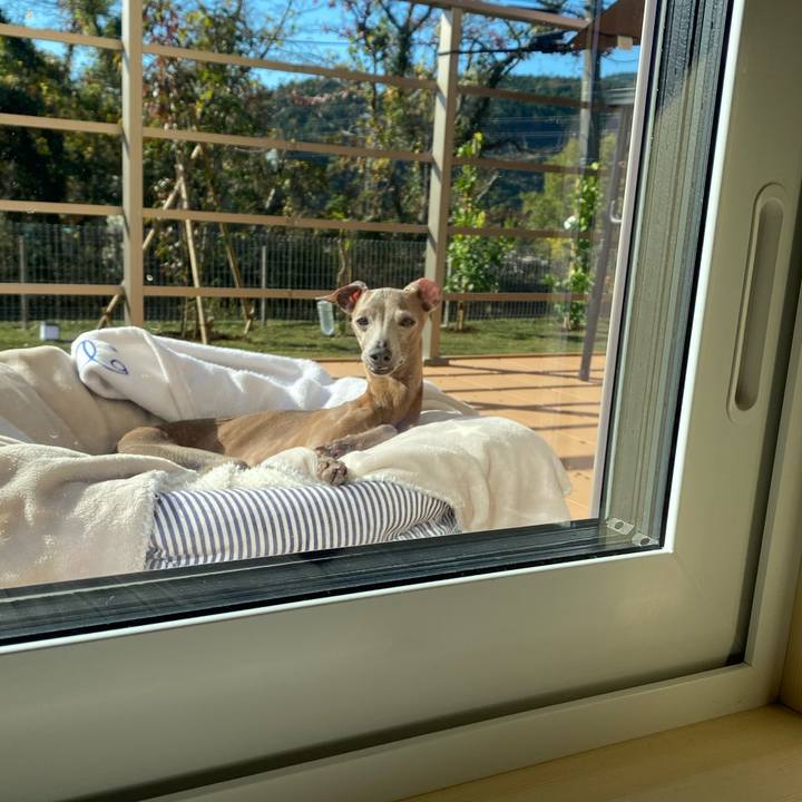 B94da477 ec10 4cf1 973c fd0a44ee89b9 1763080165447