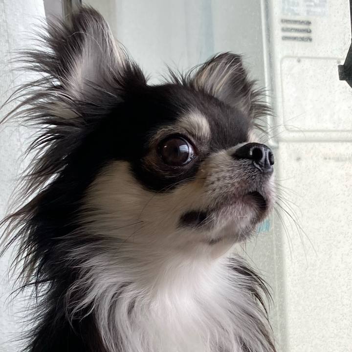 B94da812 5079 4b63 8b2a 68a649ab6c34 1616334392262