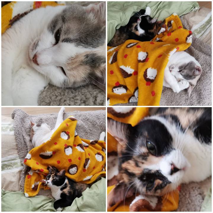 B94dac83 c938 4434 ae06 edc2508db8ca 1651555482582