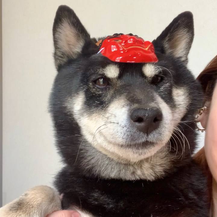 B94dc680 4ece 4f53 83a8 25d1d7733806 1675431769377