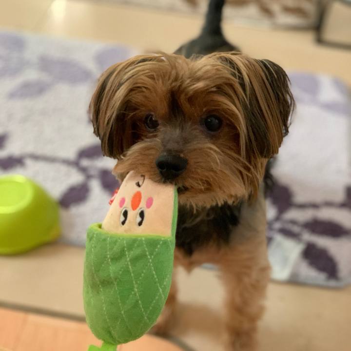 B94dd90a 5e78 4c16 85d5 0214fb91ba92 1575242896880