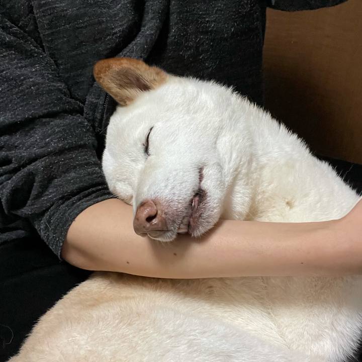 B94df7c4 b849 4663 82a9 08ebbe0c6818 1636173139698