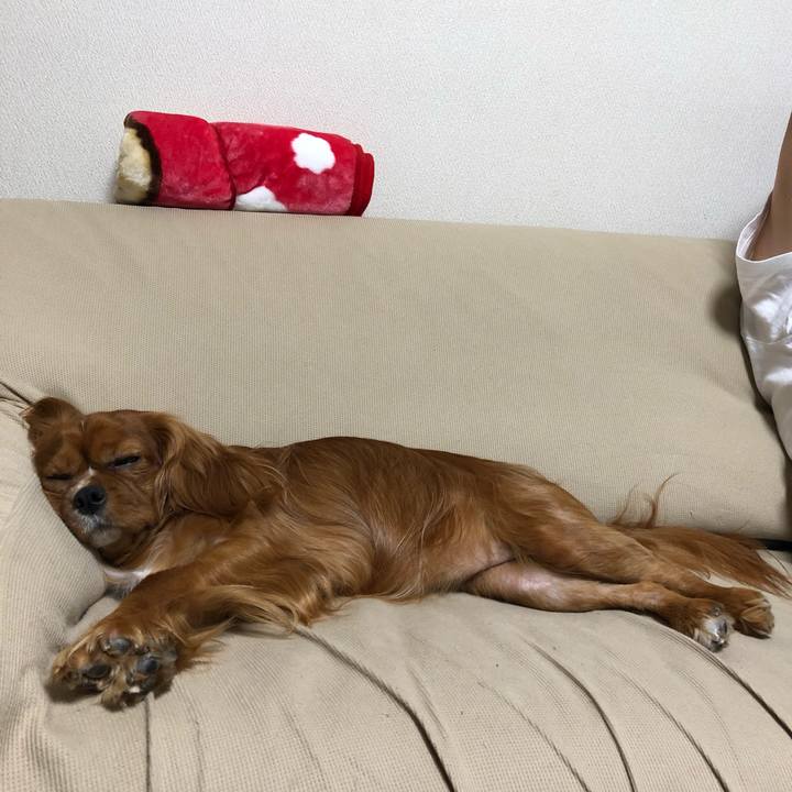 B94e18bc 39e6 44e9 93e4 6b44ecd15c41 1560164388025