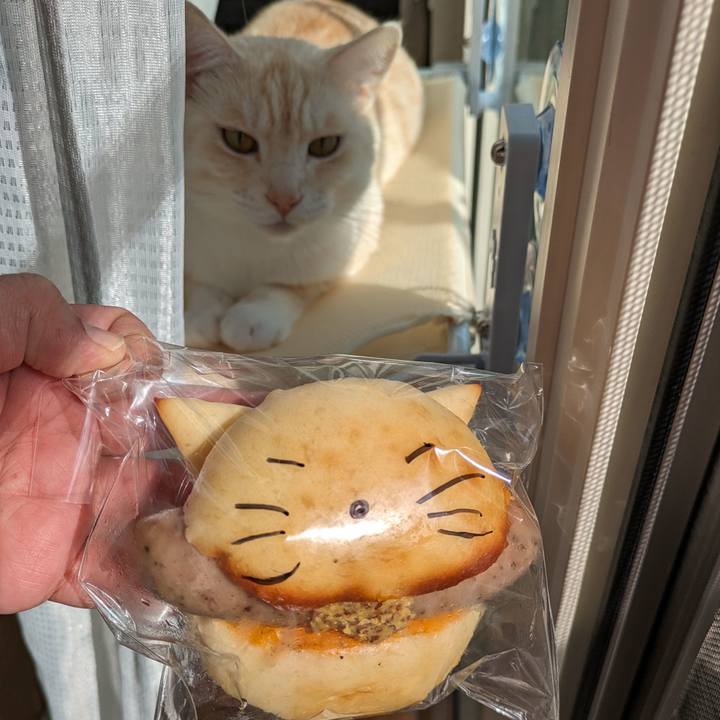 B94e2fc6 0c6d 48fa 949b c7f59fdc3cec 1697774466944