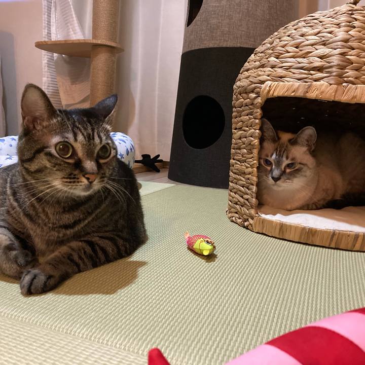 B94e387e d777 430d abd4 690dd37e9bea 1627603960116