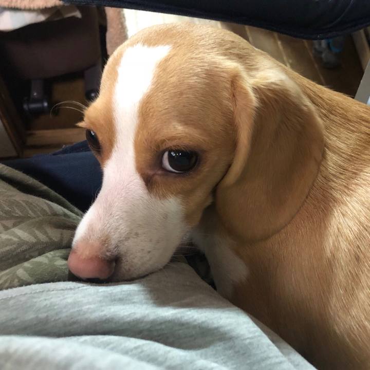 B94e7054 b19a 4c47 9a58 2592f05c4e3f 1528618464296