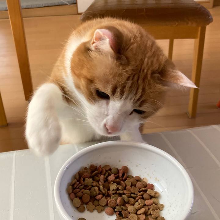 B94e76ee 6e66 4a82 9772 4635acd02a68 1754174518148