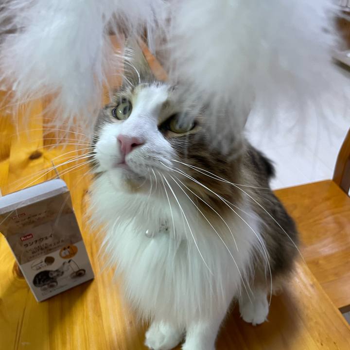 B94e7b1f a4eb 4338 88a7 9d88ce61f6bd 1656670553370