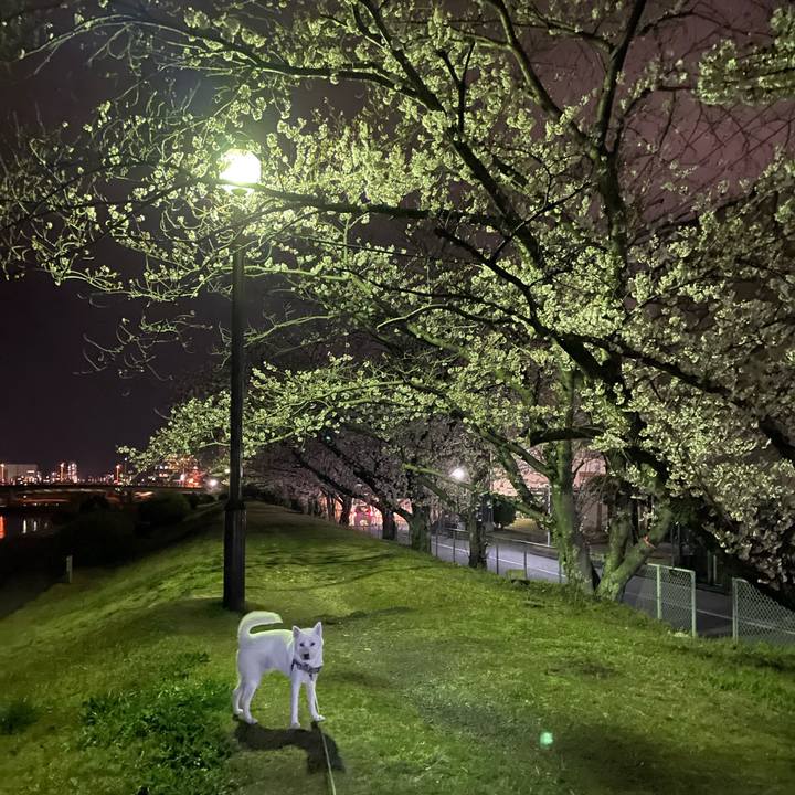 B94e7c73 8f45 4bd8 bc3e 952b24aa8370 1648299988563