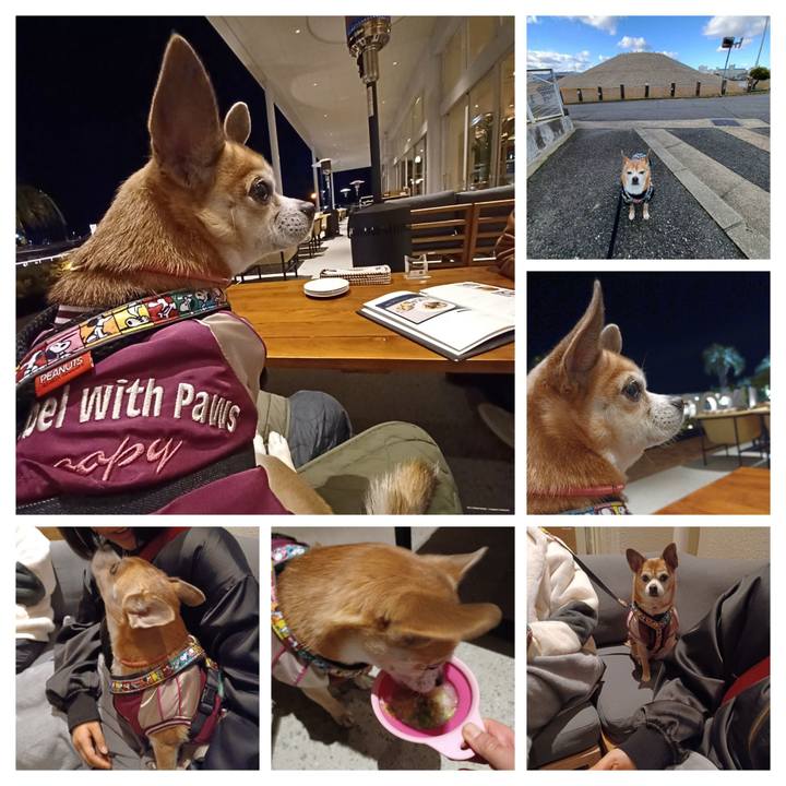 B94e9ae8 1088 47a3 9f7b d222f482724e 1767351296595