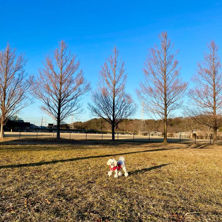 B94ecfc3 54ee 4b68 8253 10d9f7bcb89d 1642324788288