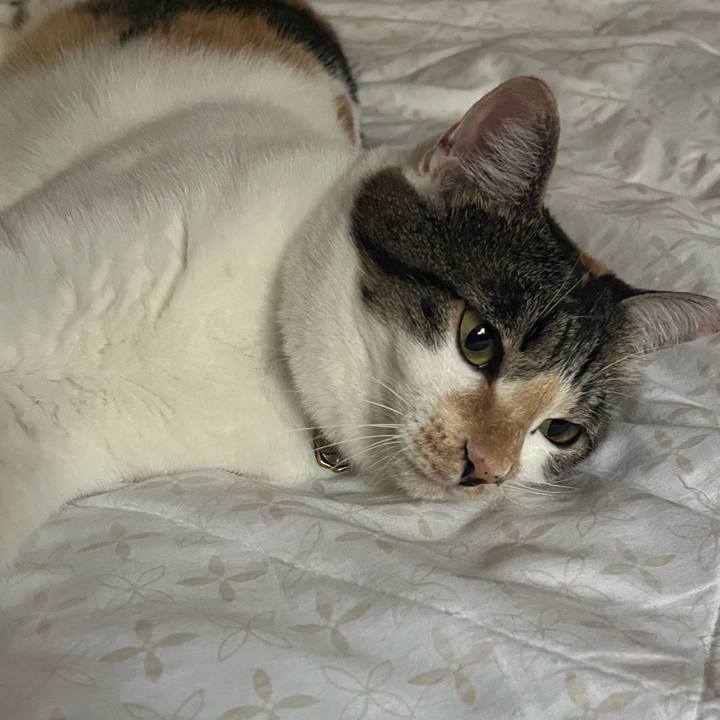 B94ee2ad a881 4663 a617 0c731e7e0e4c 1757636874129