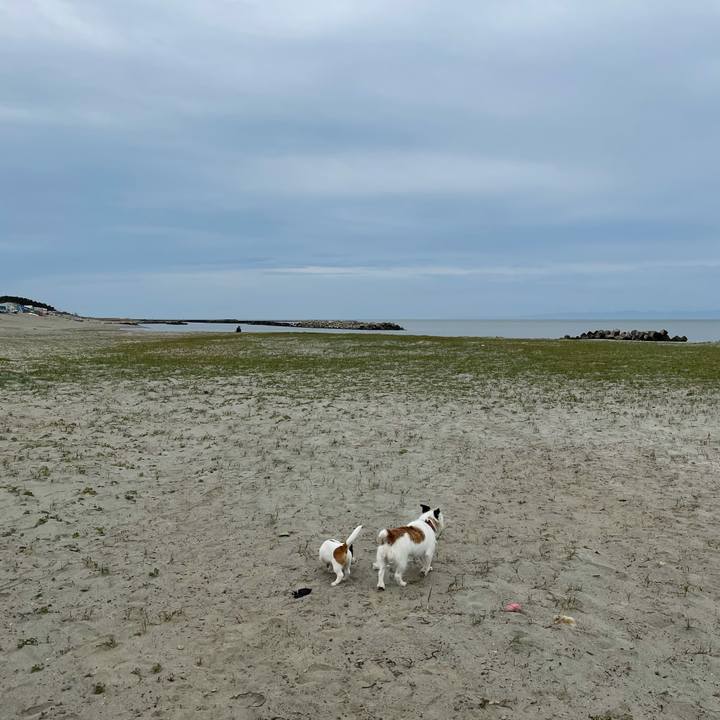 B94ee60e 537c 4917 8b3f b8f9c48e7eb6 1620170685657