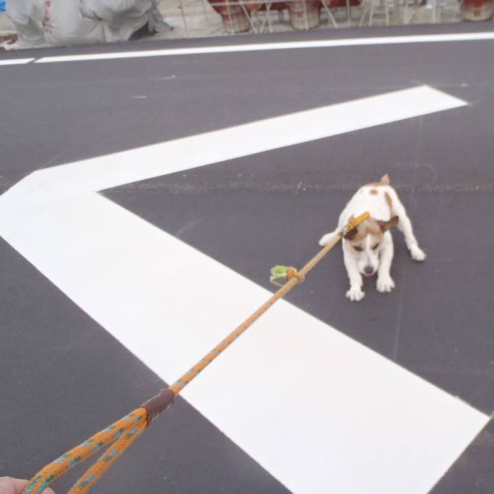 B94ee944 48e4 4c72 b3b5 506af714cf22 1537869202872