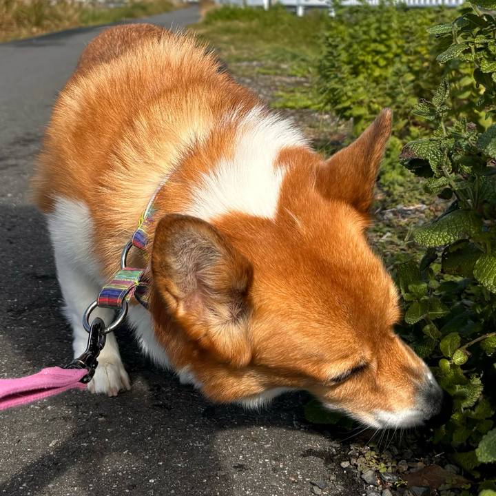 B94f1cb9 b68f 467b 9c56 51f63a976ef8 1732163020352