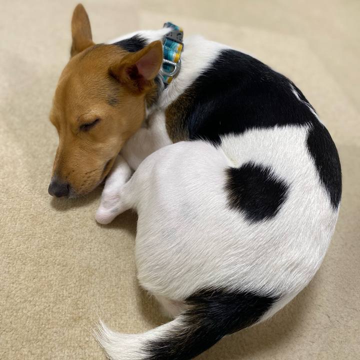 B94f3753 e181 4214 956f bb7e639f39a9 1767163835475