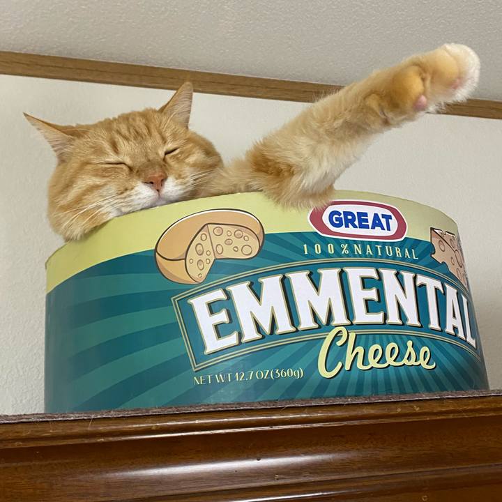 B94fe0a9 9149 4230 b1fd 9b78d968c99d 1609892244772