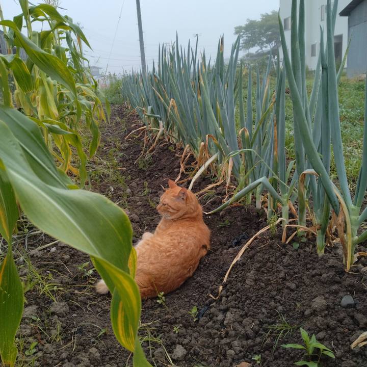 B94fe334 bfa9 4c5a 9aa7 82e0ba87855c 1692312849471