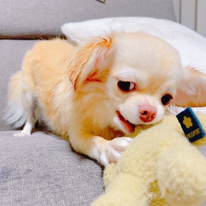 B9500a3a e7fd 4e7b 9b42 564d3a66b8e4 1634804594862