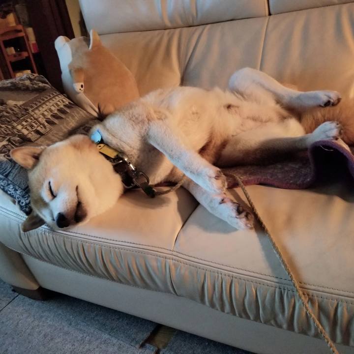 B9500f4e a4fc 4527 8f09 6653fdfd2233 1625751211479