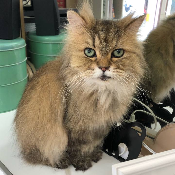 B9501c12 4695 42a0 9270 a9b942b3b6d1 1657239657671