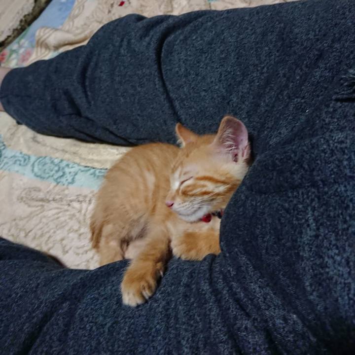 B950668f 9ebb 4078 8b86 9834c4d11956 1629637544697