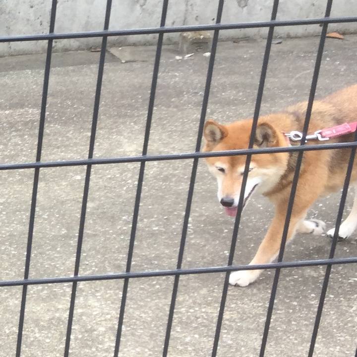 B9506cc4 7835 4538 ad10 541574f78d6f 1563002752745