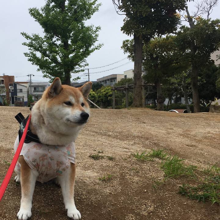 B950875d 012a 4443 b4ba 363e3d3282a0 1588566659732