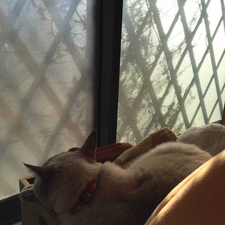 B950924a 4d13 4e49 a110 effd7385a0ac 1541916521564