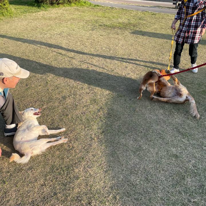 B950bb99 ffd3 4fbb 8b5d 7f0346418339 1679223792852