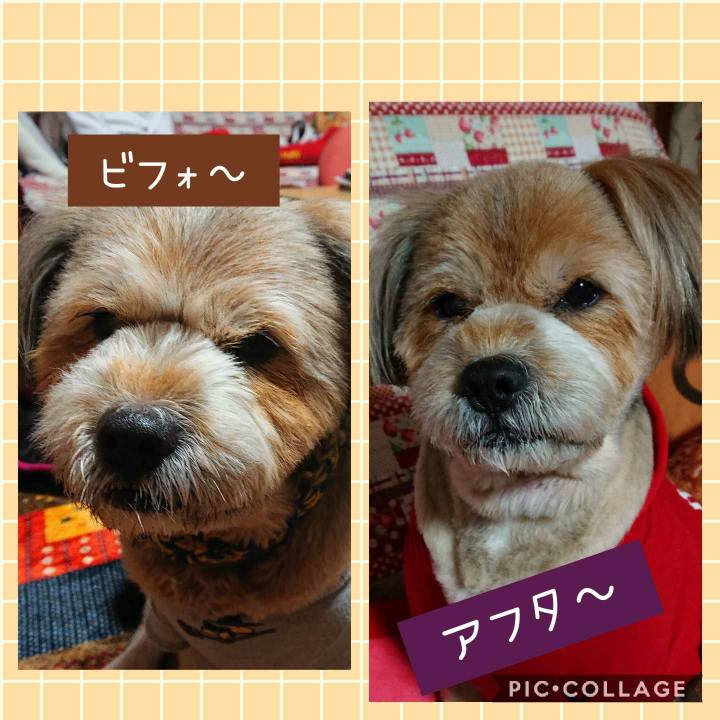 B950c7d3 8d02 4d1a b70d 337cdf6acb5b 1608030520935