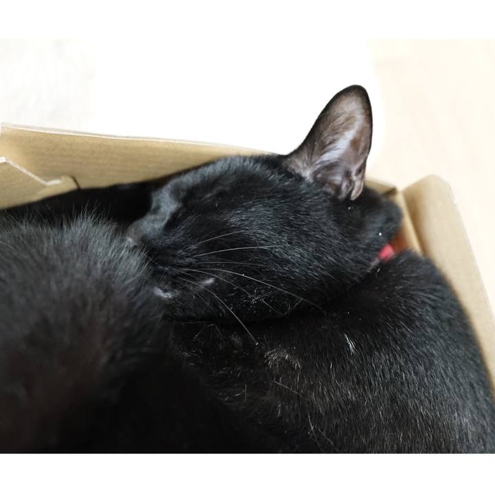 B950d5d5 cee3 4fb3 94aa 3866524dbf4a 1559865356624