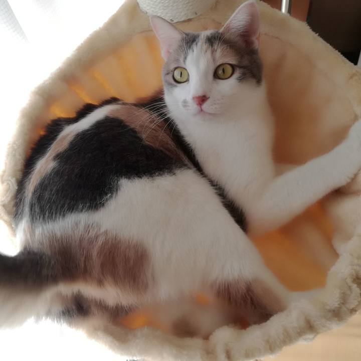 B950dbf0 11af 49b2 a379 83874f8c8afc 1518737324836