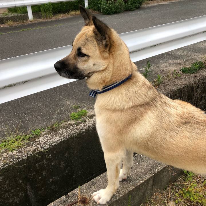 B950fe6d 777f 4e8b b6eb c32d8f5d1b07 1526988418293