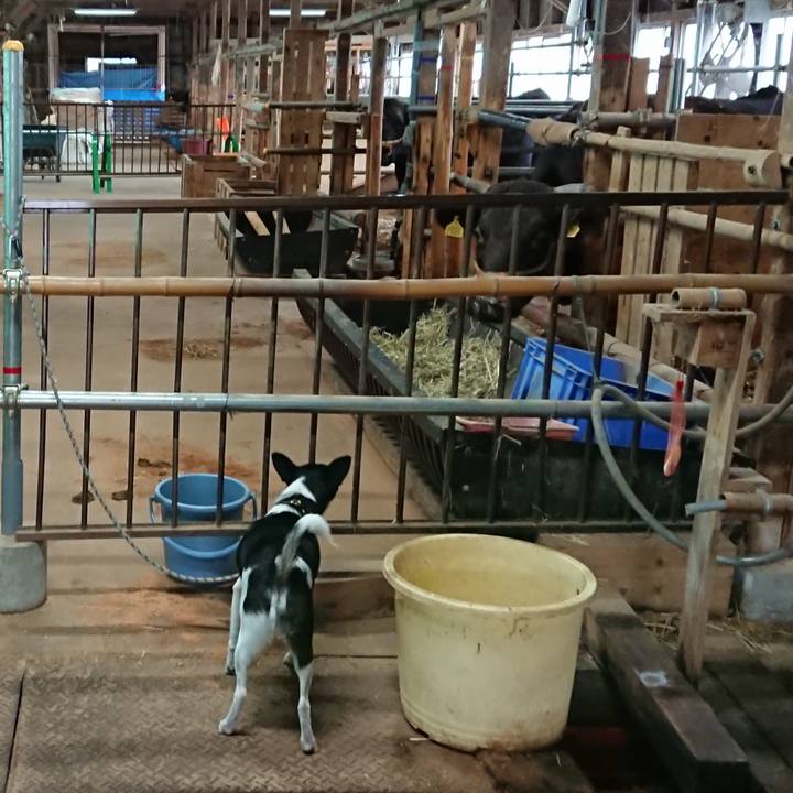 B9512b58 054a 4665 8692 d5658a48da5b 1542015981395