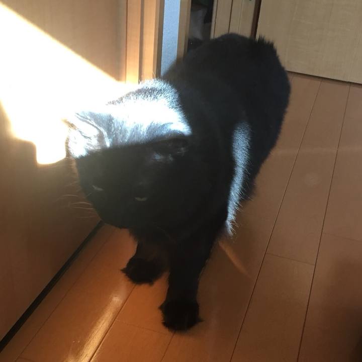 B9512c16 7c23 4c82 844c 04afe8edda33 1531363391769