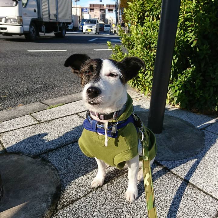 B9516cab 171d 4ad5 a049 68267029c8e2 1512173002114