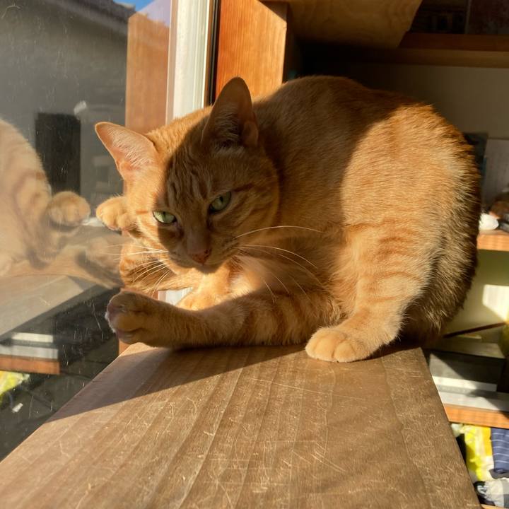 B95180b5 0aa3 4e4b 8059 ca4108a24a6f 1675554821799