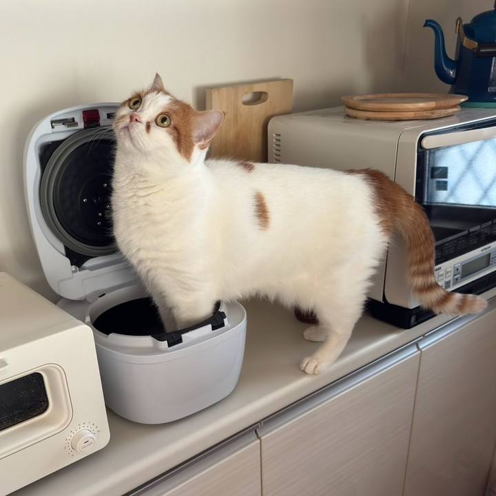 B951ae3e fef3 4629 a2fb 55bf9112bdcc 1762851163618