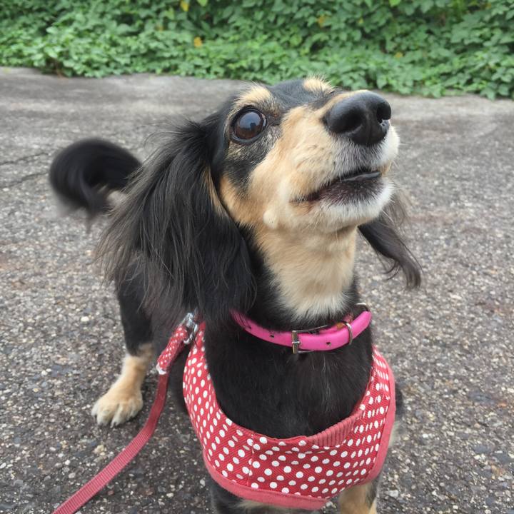 B951ec4c ede1 4cb1 9616 9d3b99c67065 1539654240821