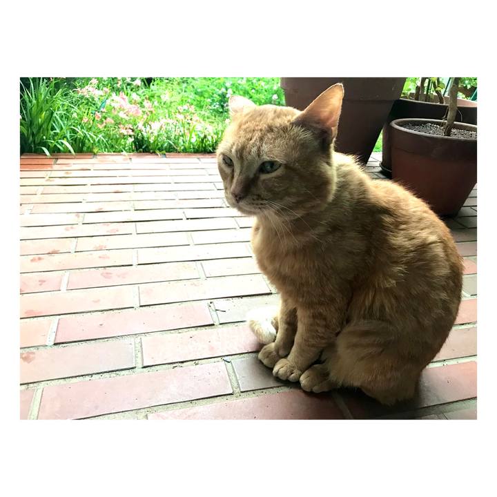 B9522df0 0e64 49c7 a359 073d6607df93 1652789335465