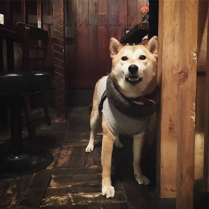 B95242a4 7383 4e8b bb08 e37bc2660ca3 1518976340910