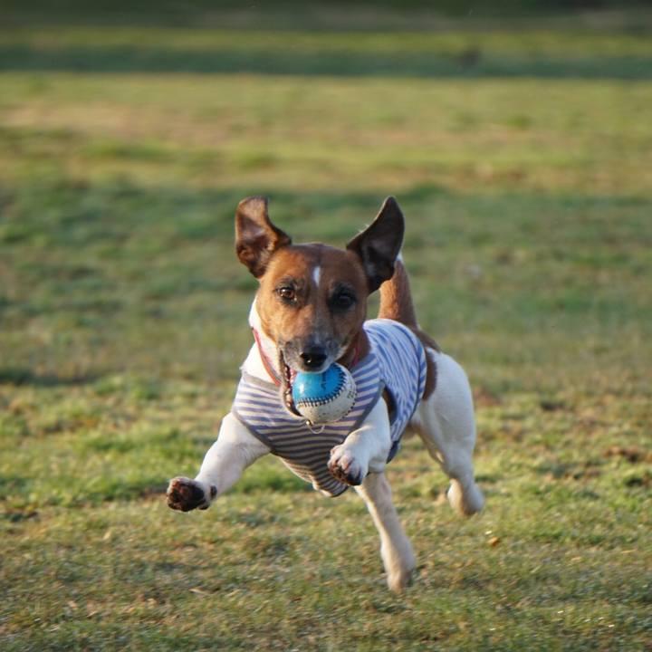 B952674c 7447 4a59 9eca 67cf34ca4b70 1552430992038