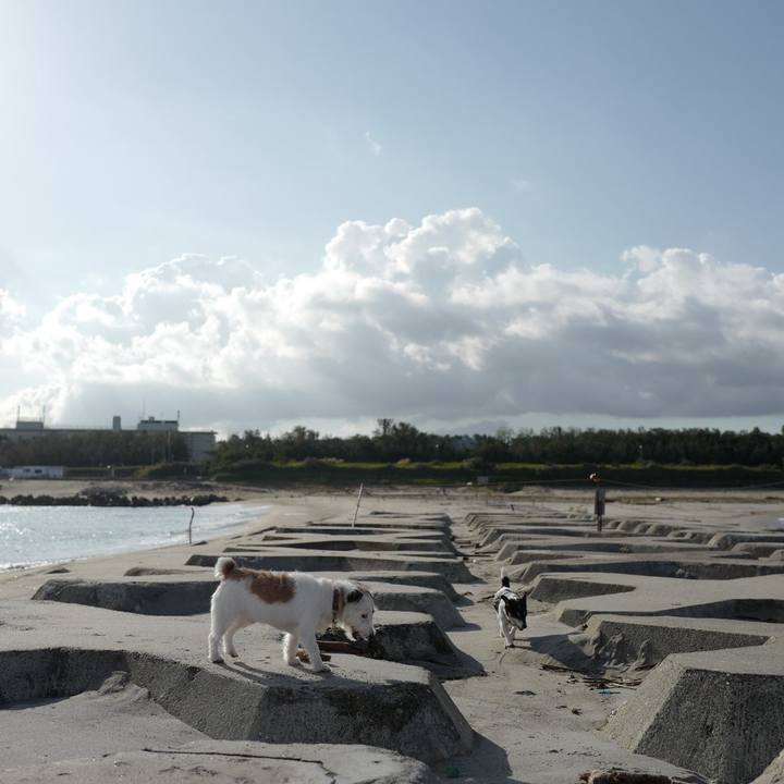 B952bf26 3148 4235 8e42 7ea876c915e5 1569388590647