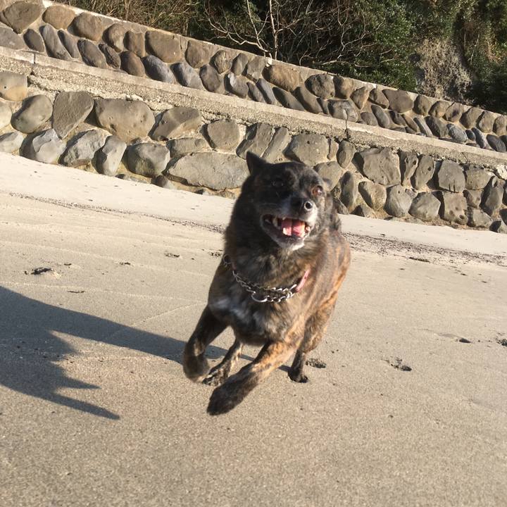 B952df64 e1b1 4e5d 934c bf79d550912a 1521777697226