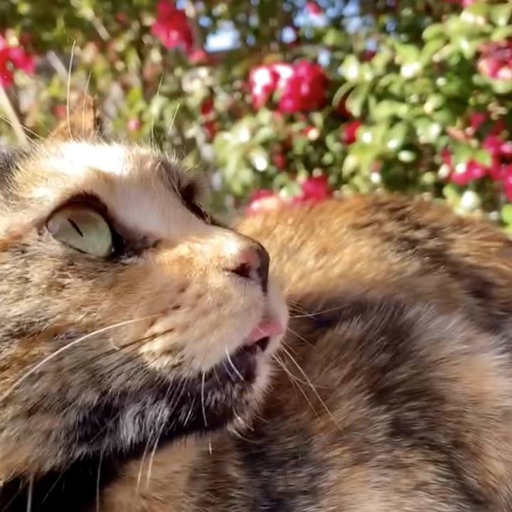 B95305c6 c0ef 45ca 911e a716a558c3b8 1735270658829