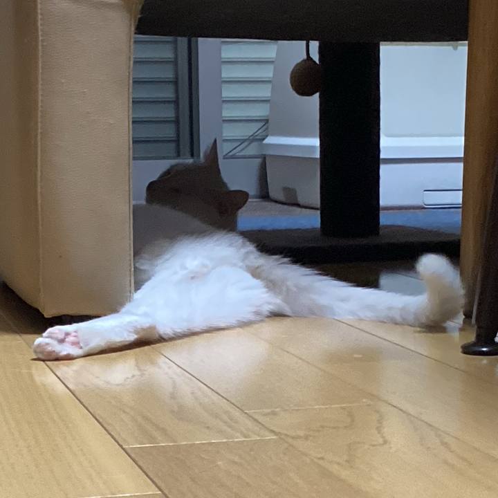 B9532e24 a0b8 4a4c a2cd d0b2e6fc939b 1679731422533